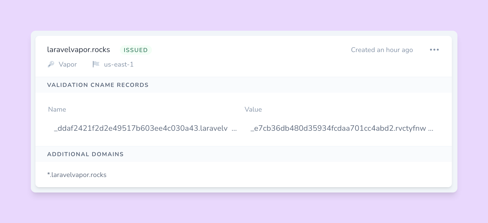 Vapor: Managing DNS