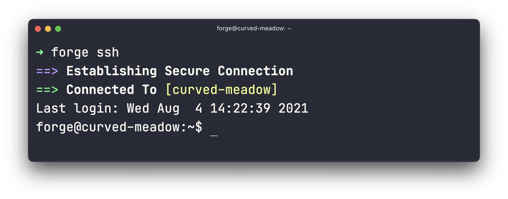 forge-ssh image